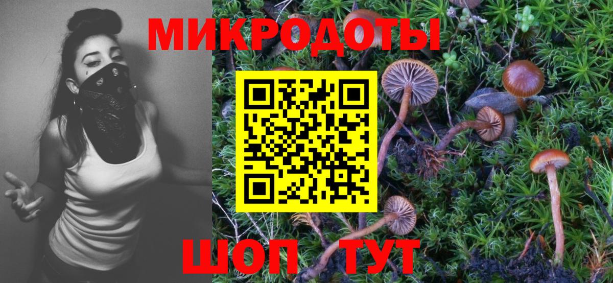 Азнакаево  купить наркотик  Вход с VPN  Псилоцибиновые грибы мицелий 